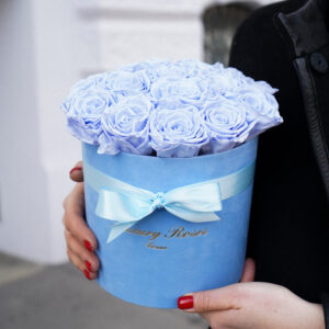 Sky blue 17 Rosen & mittlere Box